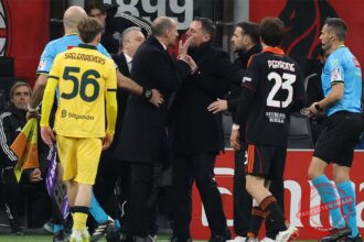 sherr alegri fabregaz